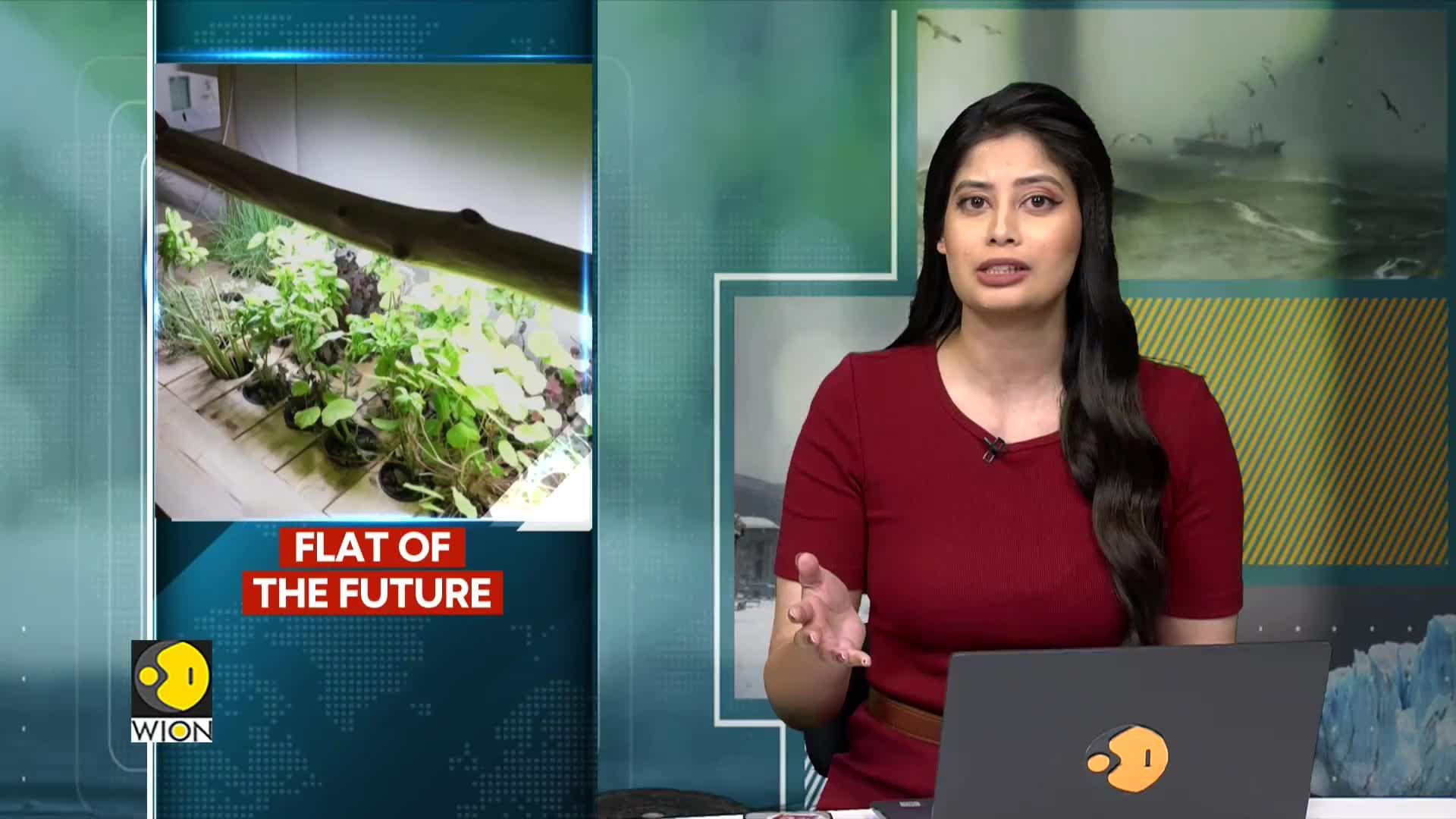 4-Month Journey To Suburban Self-Sufficiency