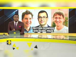 3 Scientists Win Prize For Breakthroughs On Protein Structures