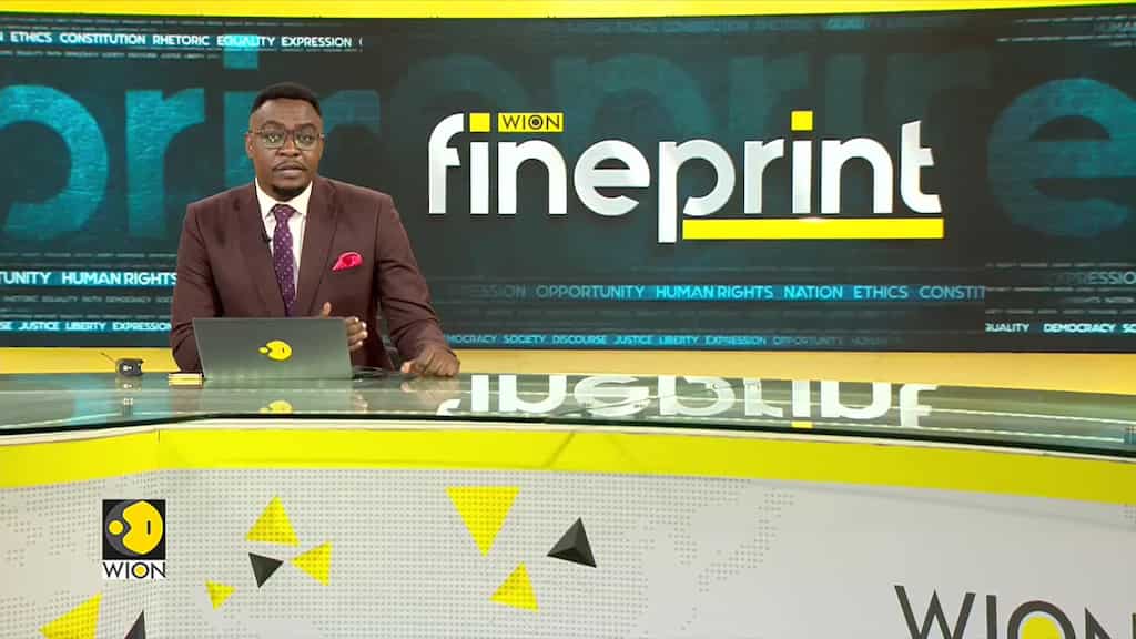 Trail Of Paddington Statues Pop Up Across UK