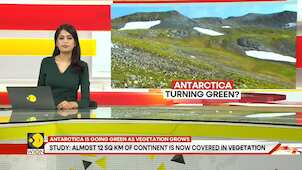 Antarctica Turns Green: Vegetation Cover Is Fast Taking Over Frozen Continent