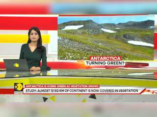Antarctica Turns Green: Vegetation Cover Is Fast Taking Over Frozen Continent