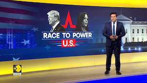 US Elections 2024: Tesla CEO Elon Musk Says Assassinating Harris Would Be 'Useless'