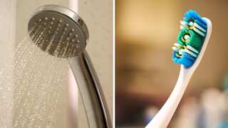 Never-seen microbes are growing on your toothbrush and showerhead. Are they dangerous?