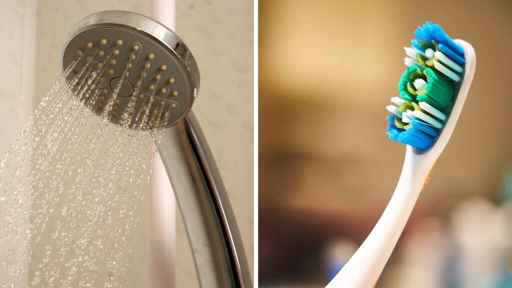 Never-seen microbes are growing on your toothbrush and showerhead. Are they dangerous?