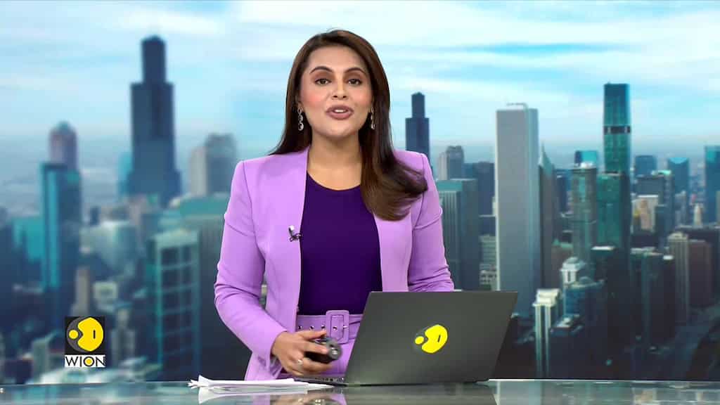 Trail Of Paddington Statues Pop Up Across UK