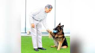 Ratan Tata's dog once made him skip a royal meeting with King Charles. Here's why