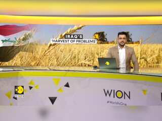 Iraq's Wheat Surplus Poses Major Challenge Amid Falling Oil Prices