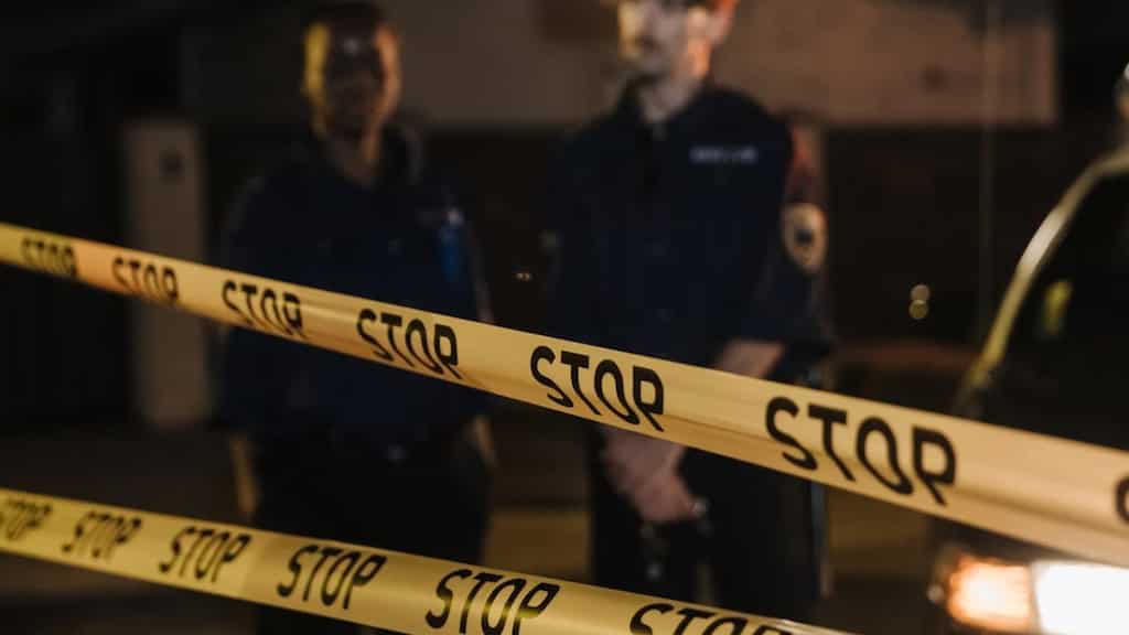 Australia: Woman loses her arm, sustains 'life-threatening' injuries after brutal dog attack