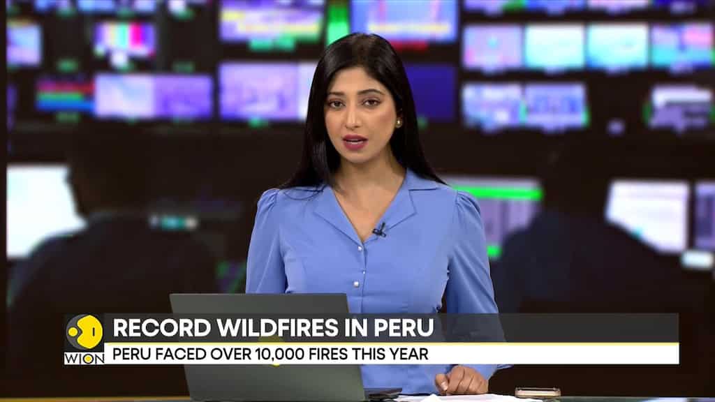 Wildfires Ravage Peru's Ecosystems & Wildlife