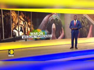 Ethiopia: Troubling Trend in Efforts to Combat Wildlife Crime