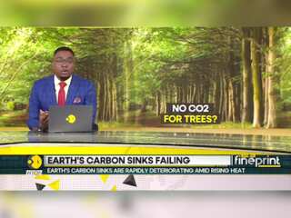 Oceans, Forests Struggle to Absorb Human Carbon Emissions