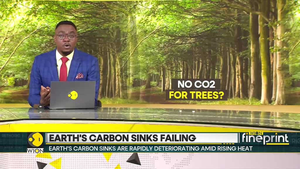 Oceans, Forests Struggle to Absorb Human Carbon Emissions
