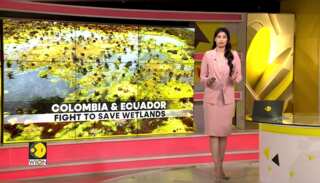 Colombia & Ecuador Save Wetlands