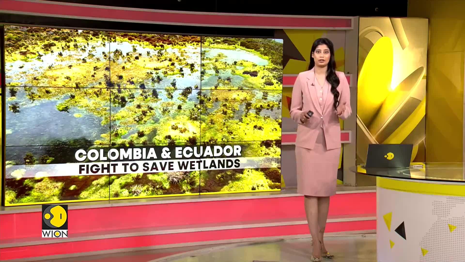 Colombia & Ecuador Save Wetlands