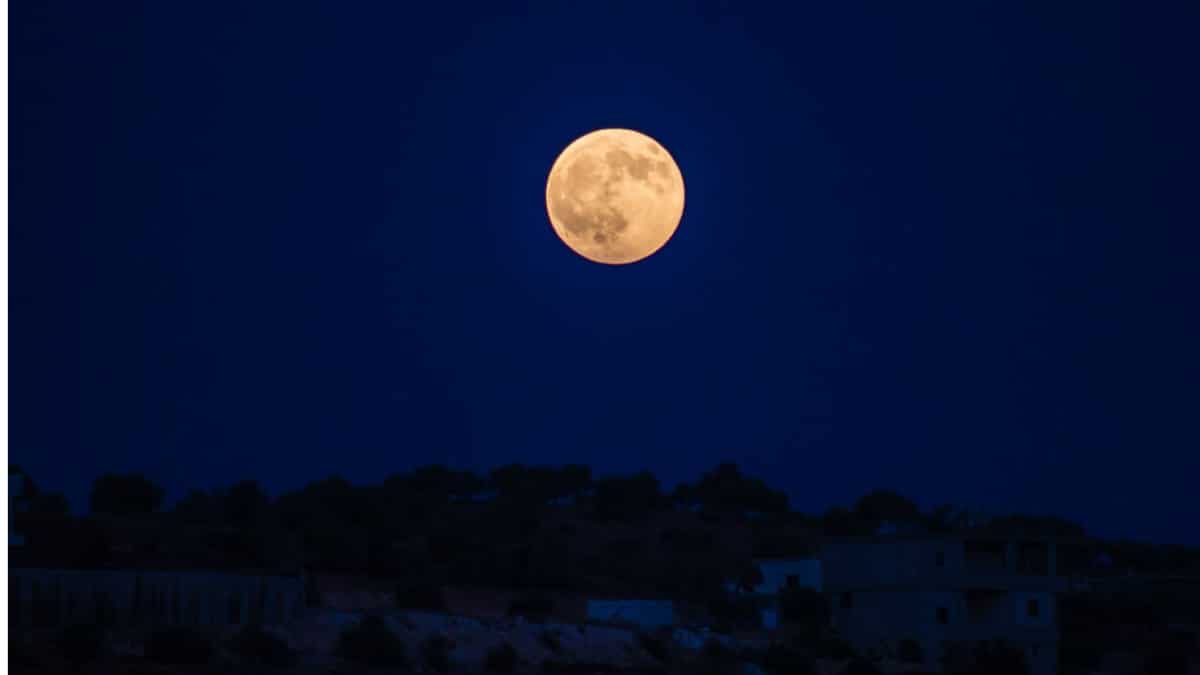 Gather all! October's full moon will be a supermoon: Here's how and when to watch rare Hunter's moon Gather all! October's full moon will be a supermoon: Here's how and when to watch rare Hunter's moon