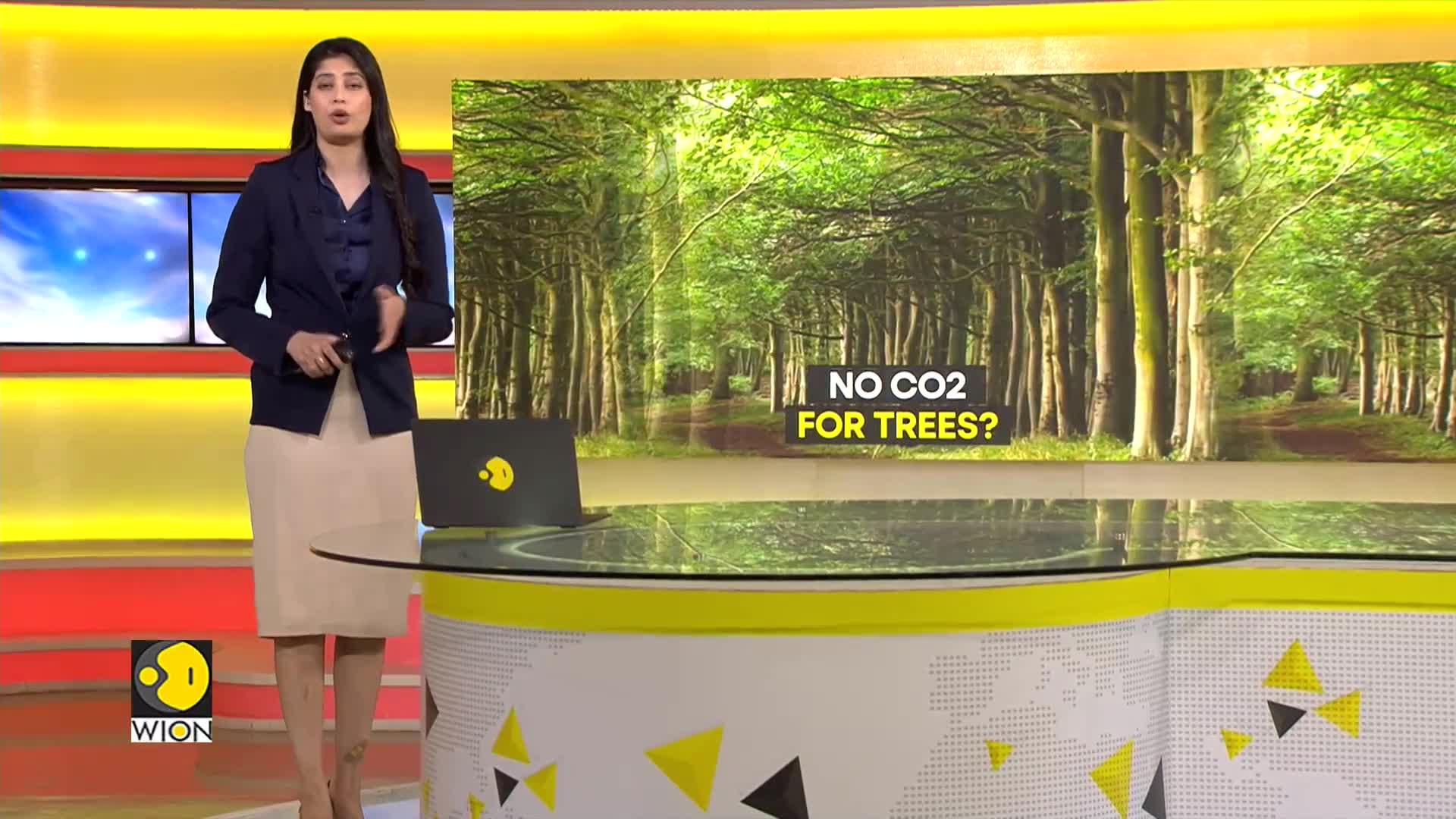 2023 Heatwave Shatters Climate Balance