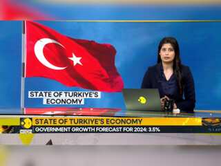 Economists Expect Turkey's Economy To Cool