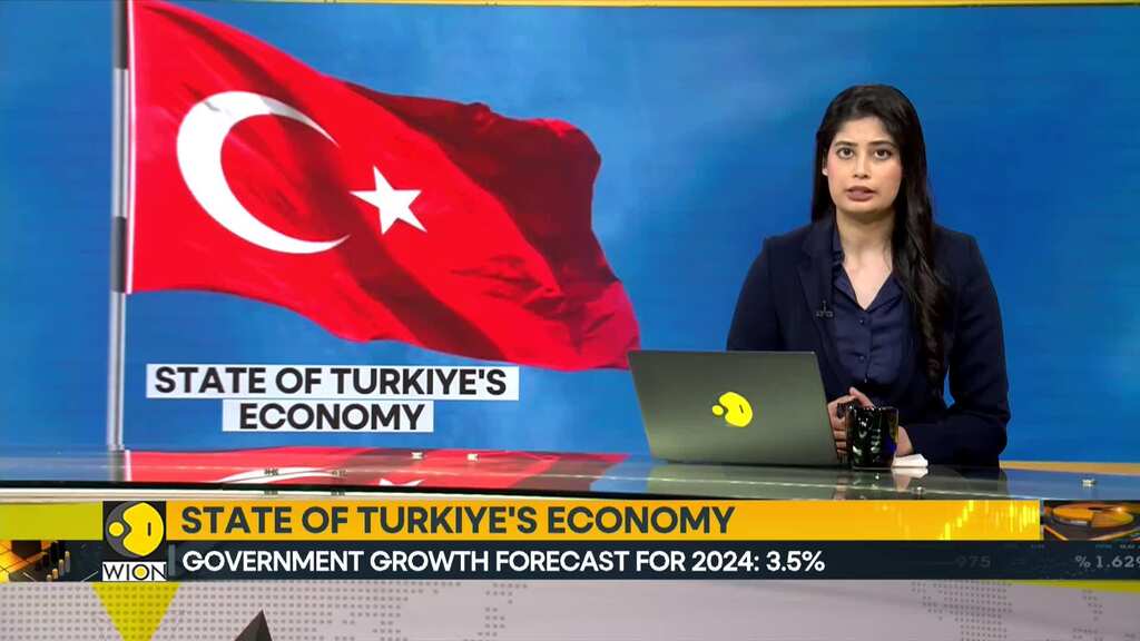 Economists Expect Turkey's Economy To Cool