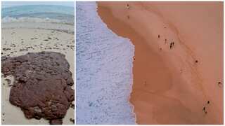 Australia solves mystery of black balls washing up after two Sydney beaches closed. Here is what they are