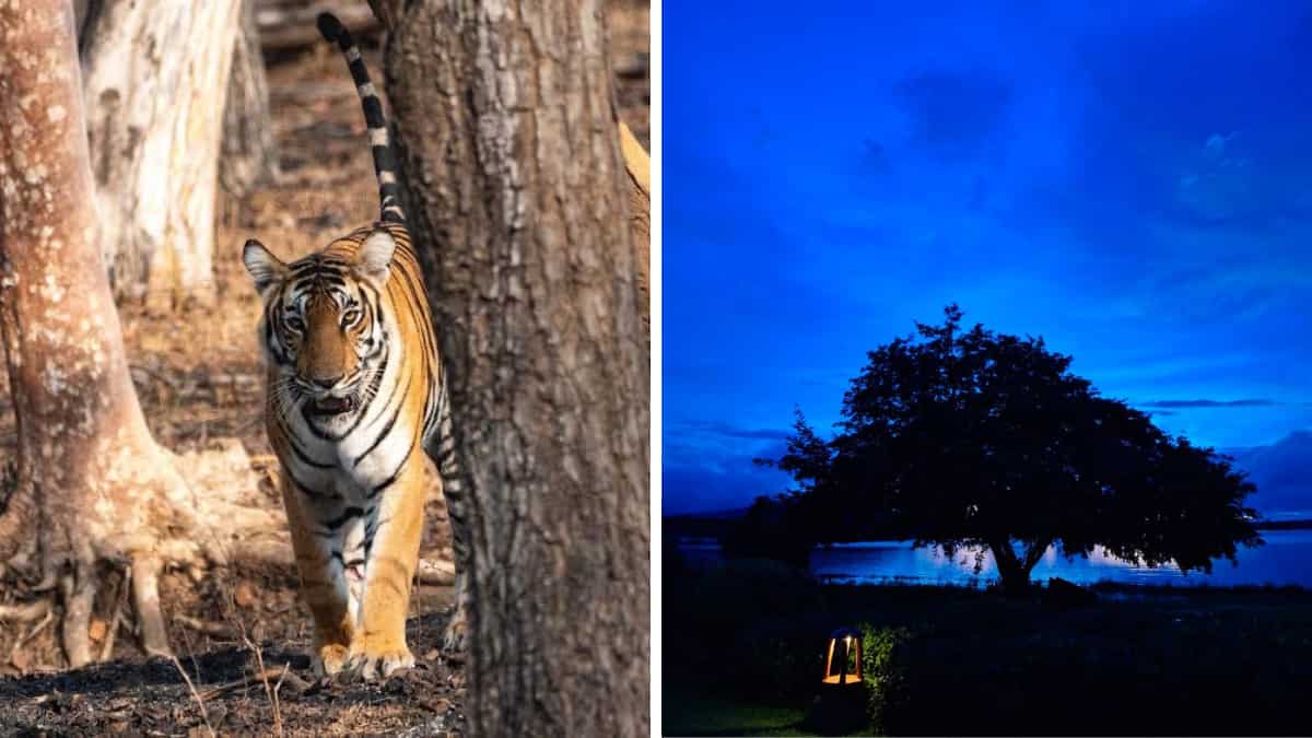 Experiencing oneness with nature in Kabini Experiencing oneness with nature in Kabini