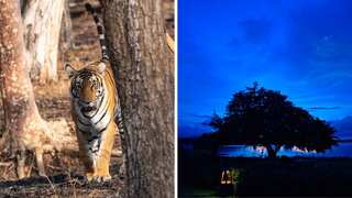 Experiencing oneness with nature in Kabini