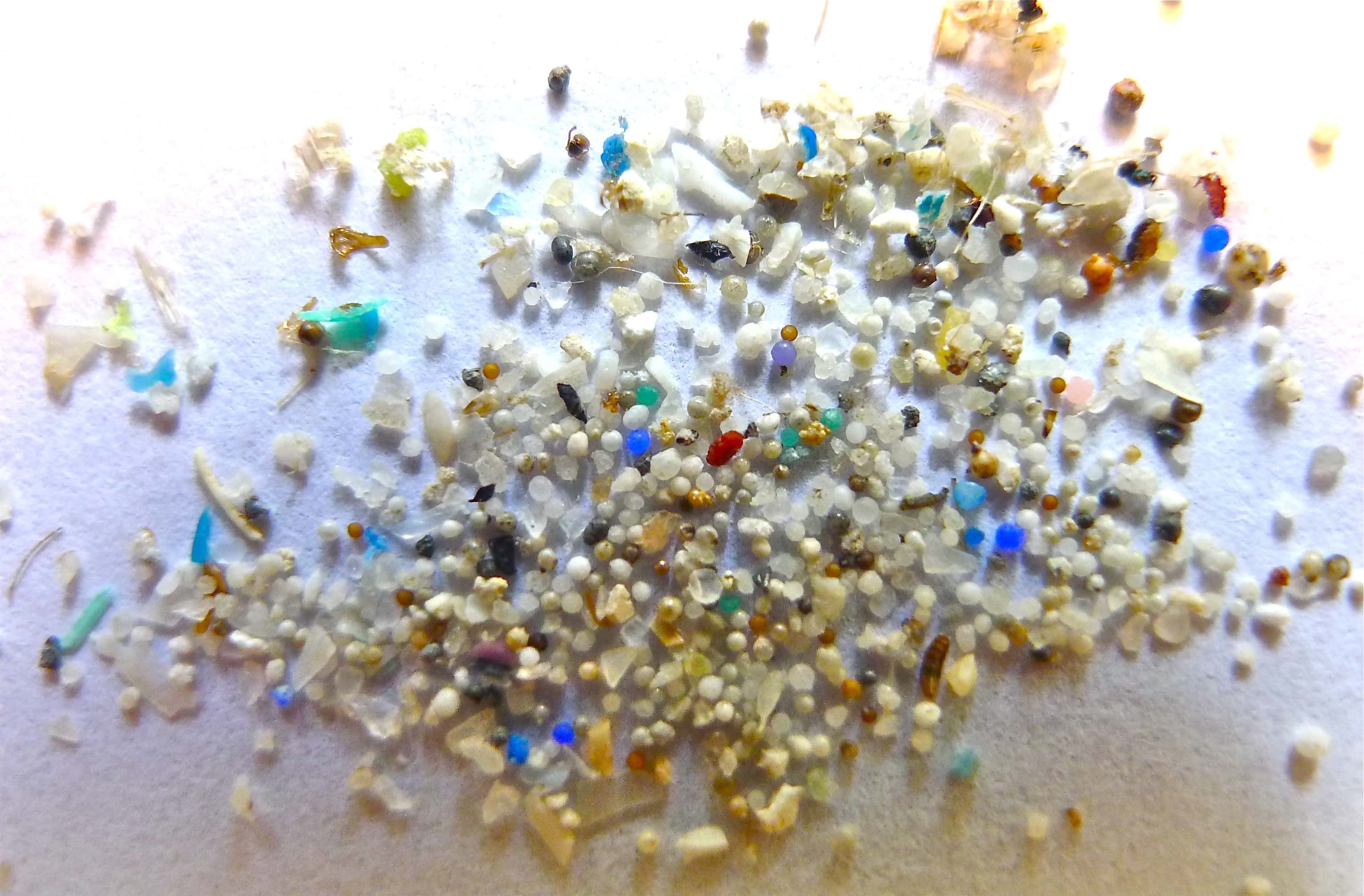Fetus absorbing microplastics which persist post-birth, claims alarming study