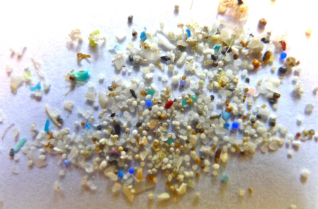 Fetus absorbing microplastics which persist post-birth, claims alarming study