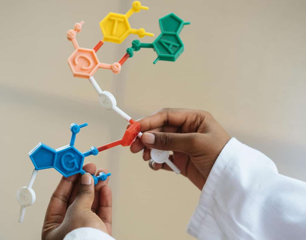 'Scientific racism' exposed: How a secretive group promotes racist stereotypes in Europe