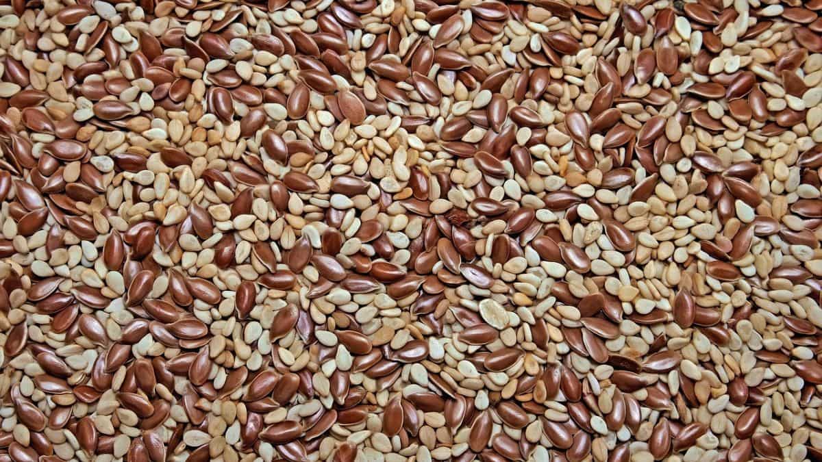 5 Seeds to Boost Your Digestive Health Lifestyle News