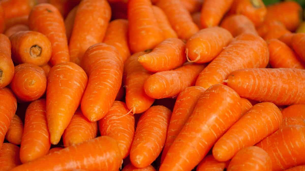 Carrots