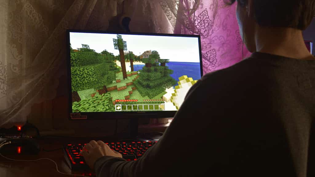 Japan: 'Lady killer' plays video games all day while his wife earns and does chores