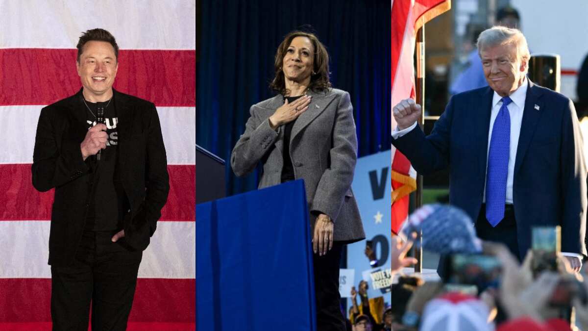 Musk pledges $1mn daily cash giveaways to Trump supporters as 2024 US Election battle heats up