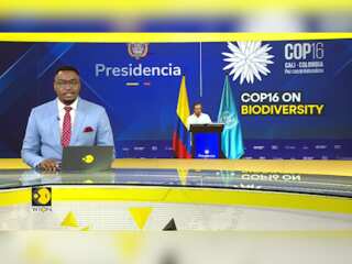 COP16 Summit: 2-Week Summit Focuses On Protecting Flora & Fauna