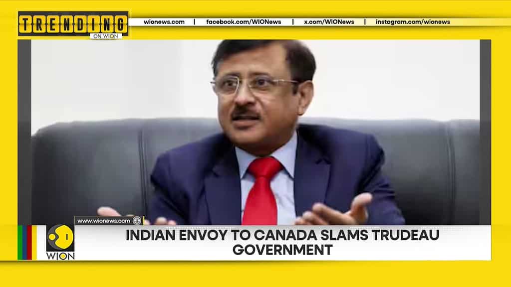 Survey Reveals Employers Avoid Hiring GenZ Workers | Indian Envoy Slams Trudeau Govt | Trending On WION