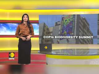 Colombia: Two-week Cop16 Biodiversity Summit Kicks Off