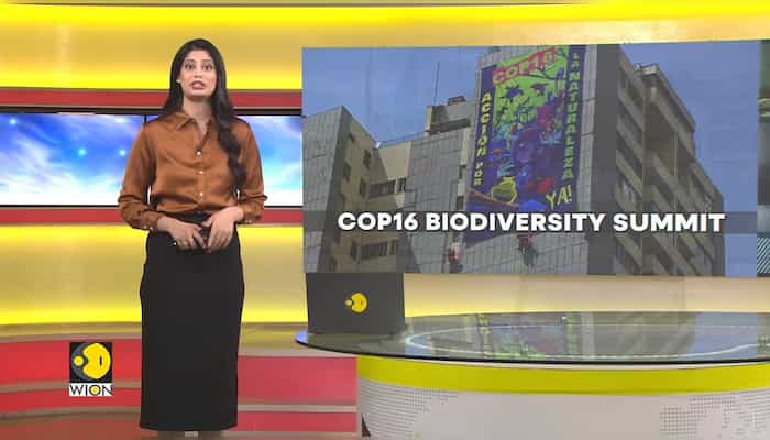 Colombia: Two-week Cop16 Biodiversity Summit Kicks Off