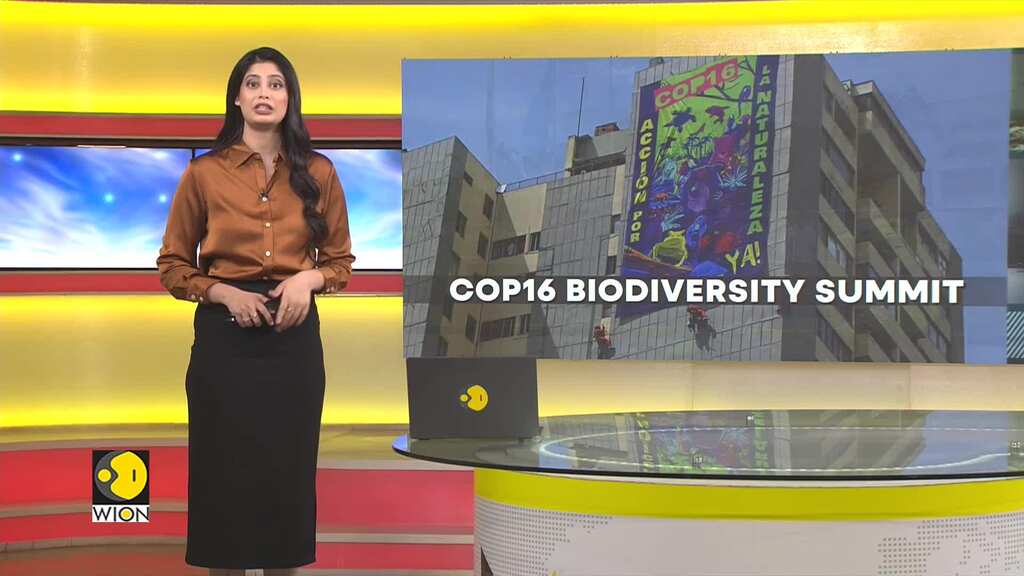 Colombia: Two-week Cop16 Biodiversity Summit Kicks Off