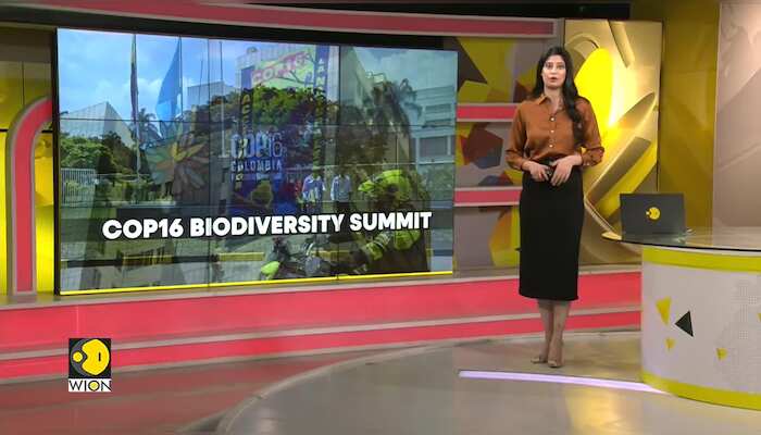 Colombia Prepares For 'COP Of The People'