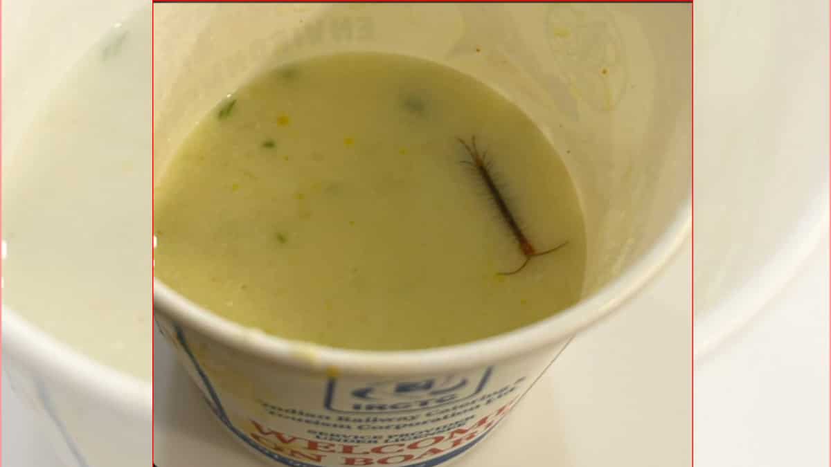 Man posts photo of centipede floating in Indian railways VIP lounge meal Man posts photo of centipede floating in Indian railways VIP lounge meal