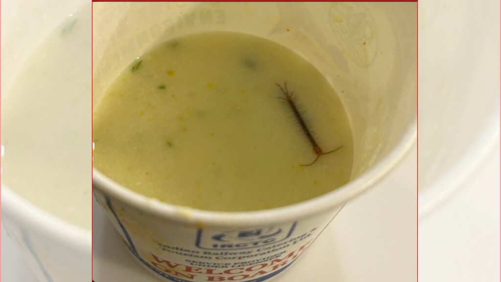 Man posts photo of centipede floating in Indian railways VIP lounge meal