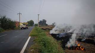 16 farmers arrested in India’s Haryana for illegally burning paddy stubble