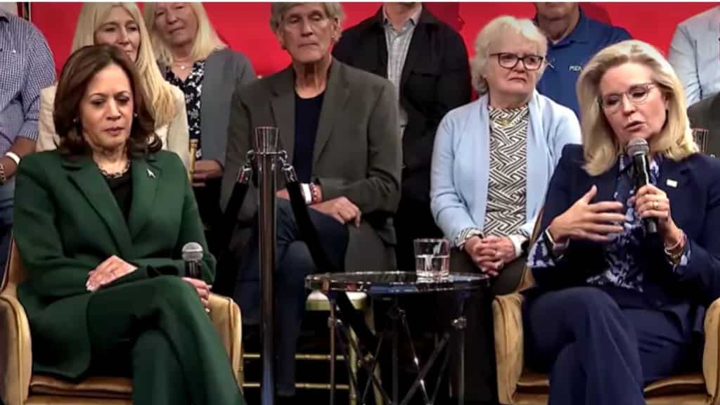 Liz Cheney blasts Trump as 'petty tyrant' after ‘war hawk’ comment