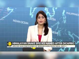 New Snake Species Discovered In Himalayas, Named After Leonardo DiCaprio