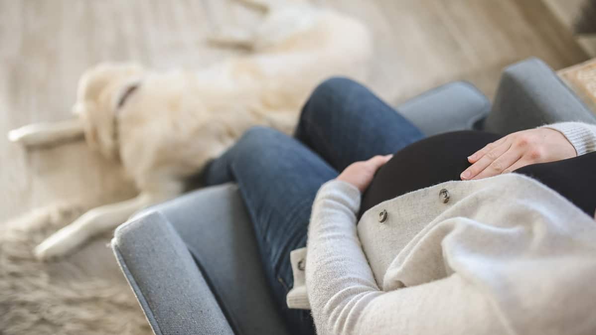 Office sacks woman for coming back from maternity leave with another pregnancy