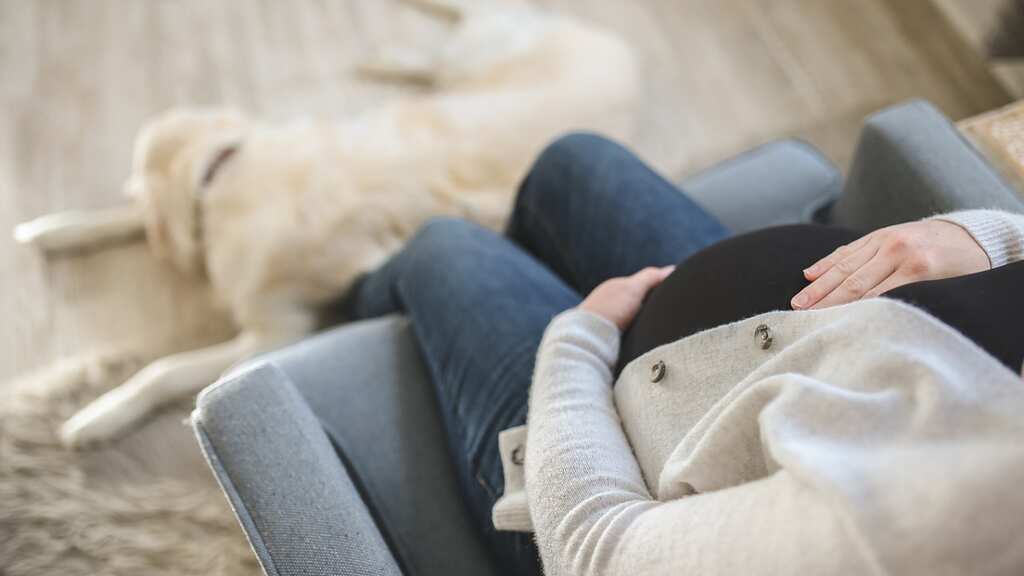 Office sacks woman for coming back from maternity leave with another pregnancy