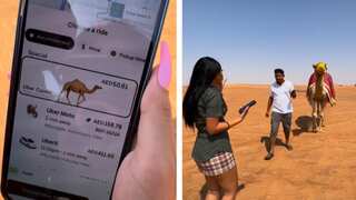 Woman gets stranded in Dubai's desert, books camel ride via Uber: Watch