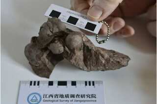 80 million-year-old 'fully intact' smallest dinosaur eggs unearthed in China. Scientists suggest...