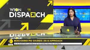 AI Algorithm Capable Of Interpreting Pig Sounds