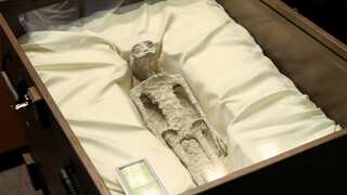 Experts dissect hands of Peruvian 'alien mummies', make a shocking discovery of...