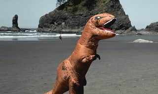 Scientists make robotic models of extinct animals to capture million-year evolution in single day